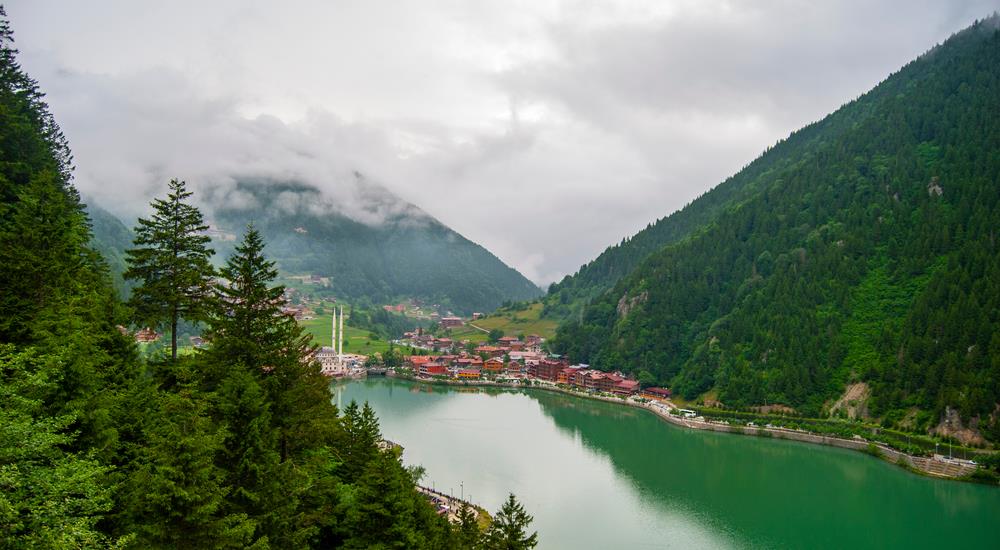 Turkey